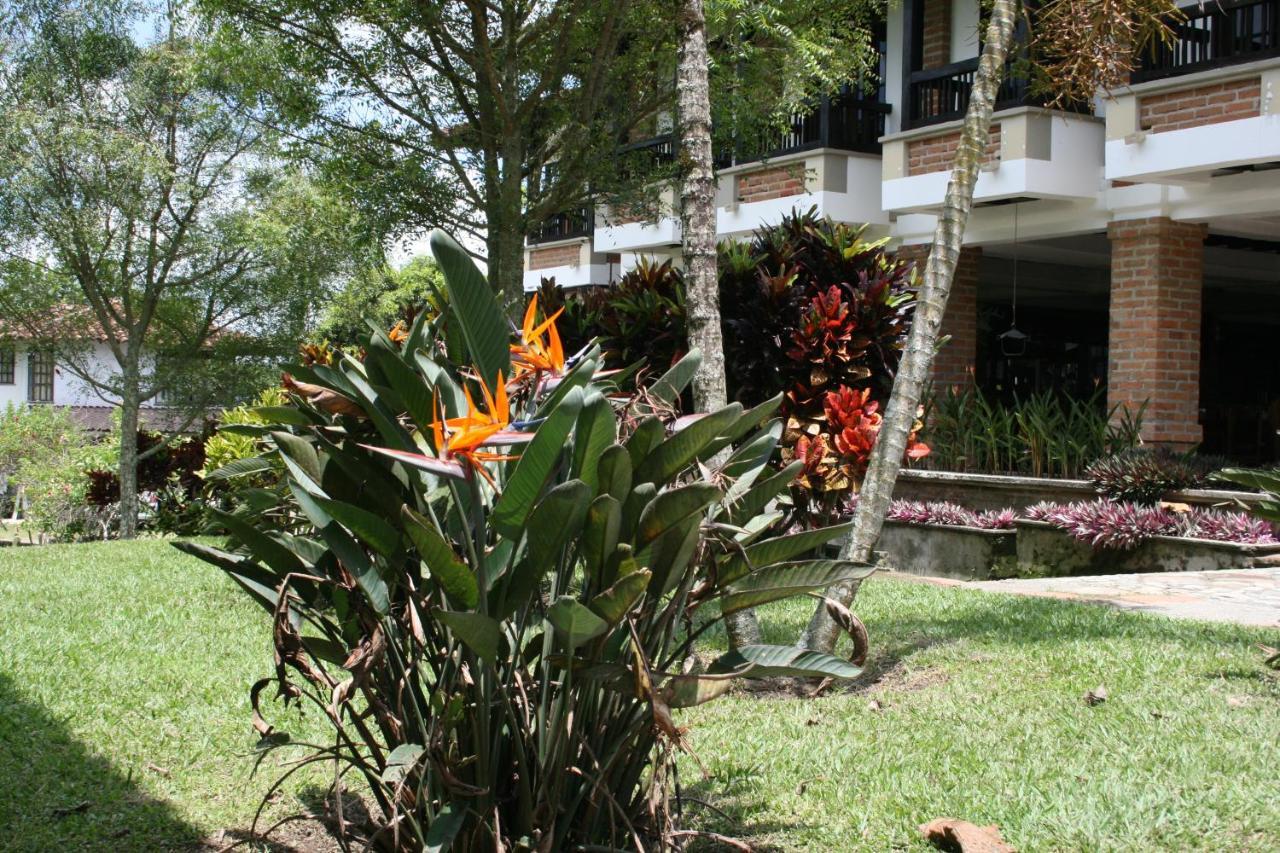 Finca Hotel La Esperanza มอนเตเนโกร ภายนอก รูปภาพ